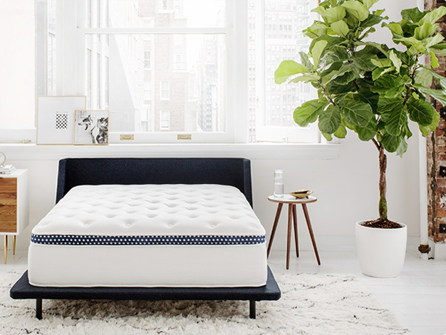  ORTHOPEDIC MATTRESS